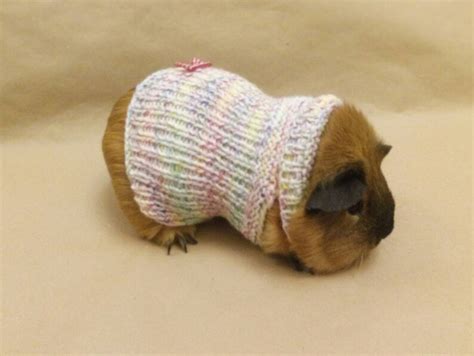 Guinea Pig Outfit Hairless Guinea Pig Sweater For Bunny Pet Etsy
