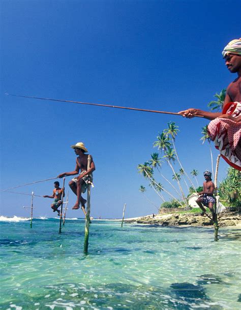 The 18 Best Things To Do In Sri Lanka Lonely Planet