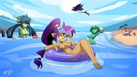 Zedrin Artist Shantae Shantae Characters Shantae Franchise