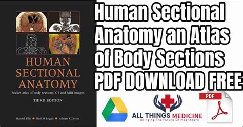 Human Sectional Anatomy Atlas Of Body Sections Pdf Download Free