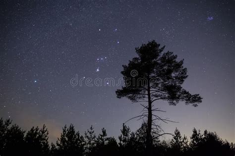 Orion Constellation On A Night Sky Reflected In A Forest Lake Stock
