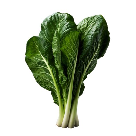 Ai Generated Bok Choy Png Isolated On Transparent Background 35647624 Png