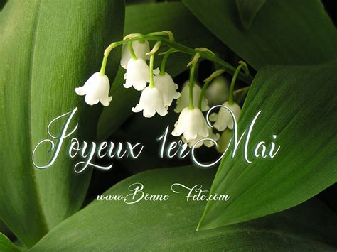 1er Mai Fête Du Travail Fête Du Muguet Bonne Fête