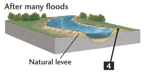 Delta noun (river) ›  c  geography an area of low, flat land, sometimes shaped like a triangle, where a river divides into several smaller rivers before flowing into the sea: Fluvial Depositional Landforms | Types of Deltas | PMF IAS