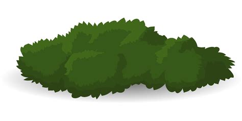 Tree Shrub Drawing Bushes Png Download 1920960 Free Transparent