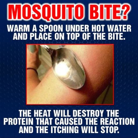 A doctor can prescribe medications like hydrocortisone cream to treat the itching and swelling symptoms. Treatment for mosquito bites | Smart tips | Pinterest