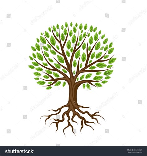 Abstract Stylized Tree Roots Leaves Natural Stock Vector