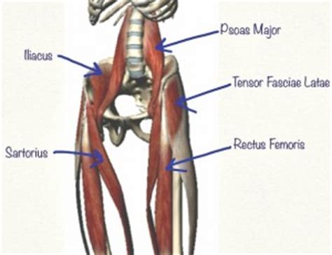 What is the muscles located above back right hip? Tight Hip Flexors? Find The Right Stretch For You ...