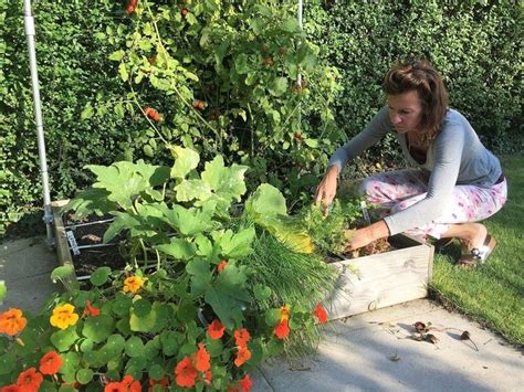 Natürlich kann man mit einem messer, das man erst an einer kranken, und dann an einer. Tomaten richtig in Kübel pflanzen | Pflanzen, Gemüsegarten ...