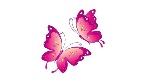 Full Size Wallpapers Computer Pink Butterfly 2018 Live