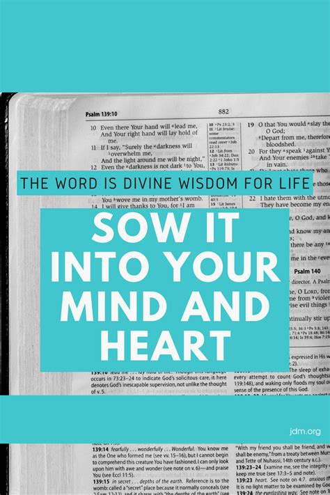 The Word Is Divine Wisdom For Life Sow It Into Your Mind And Heart
