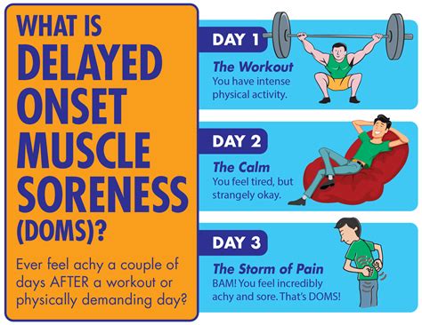 Cain Exercise Rehab Muscle Soreness Doms And Recovery