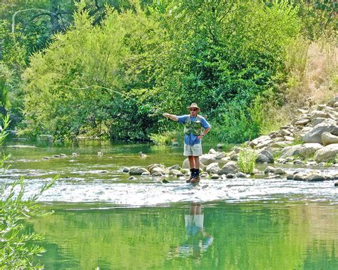 Man Fly Fishing In Canyon Creek Near Winters California Photograph By