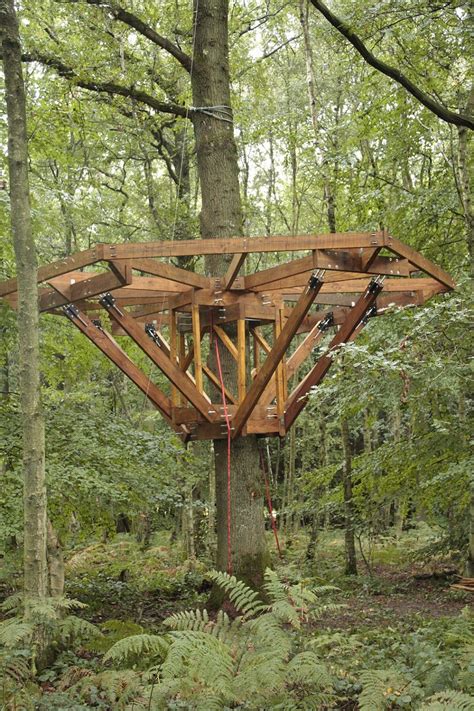 21 Unbeliavably Amazing Treehouse Ideas That Will Inspire You