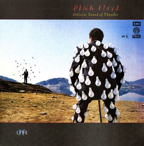 Pink floyd, 'dark side of the moon'. Pink Floyd: Delicate Sound of Thunder, cover by Andy Earl ...