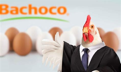 Bachoco ¿quién Está Detrás De La Empresa De Alimentos Avícolas