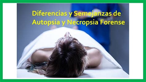 Diferencias Entre Autopsia Y Necropsia En Medicina Legal Kulturaupice