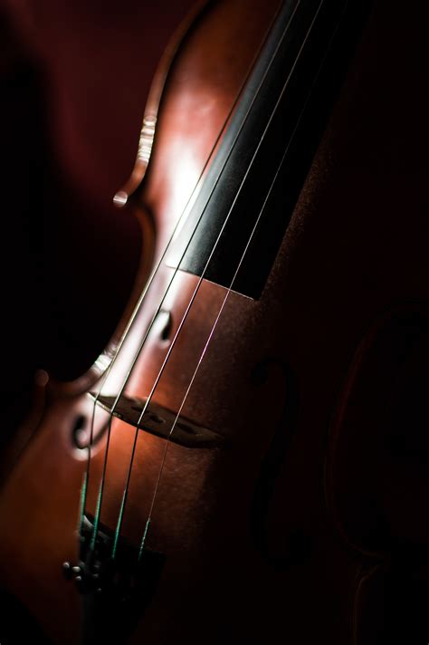 Free Images : acoustic guitar, red, musical instrument ...