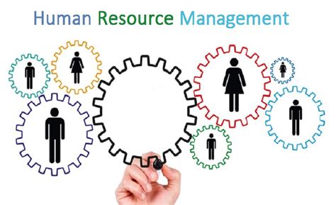 Key Functions Of Human Resource Management Hrm