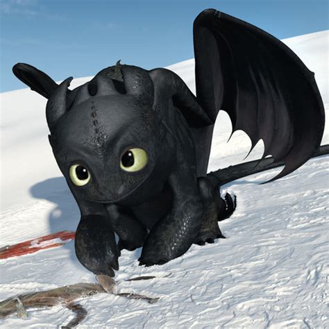 Toothless Toothless The Dragon Photo 33123093 Fanpop