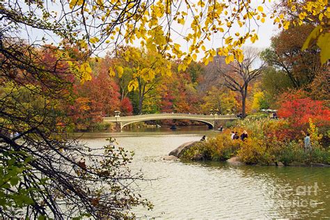 Central Park Lake Bow Bridge In Autumn Photograph By Regina Geoghan