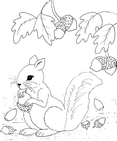 67 Dessins De Coloriage écureuil à Imprimer Sur Page 3