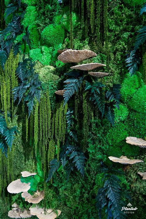 Want to grow a garden but have limited space? Ecology & Sustainability: Our Moss Wall Responsibility ...
