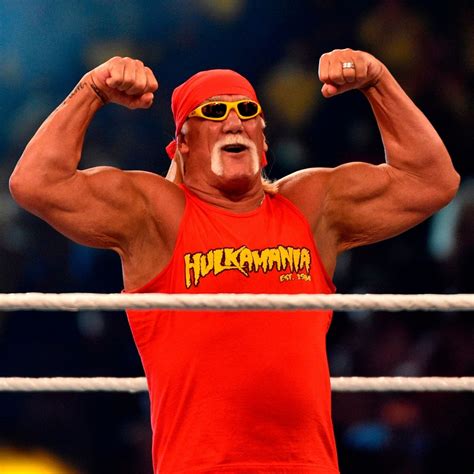 Parameter Vergeltung Umfassend Wwe Crown Jewel Hulk Hogan Diskurs