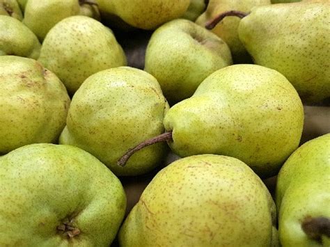 Pears William Leons Fruit Shop