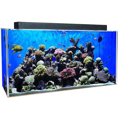 Best 40 Gallon Fish Tank Breeder Long And More