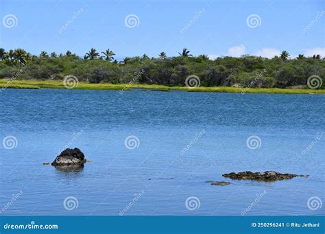 Fishing Ponds At Kaloko Honokohau National Historic Park At Kailua Kona