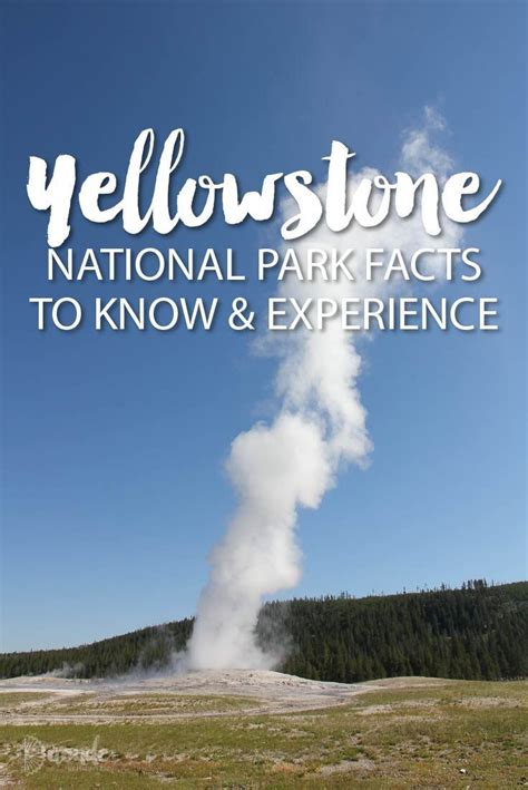 Fascinating Facts To Know About Yellowstone National Park And Ways To