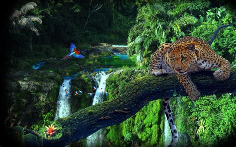 1920x1080 Resolution Leopard Nature Animals Forest Waterfall Hd