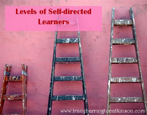 Levels Of Self Directed Learning Paving The Way