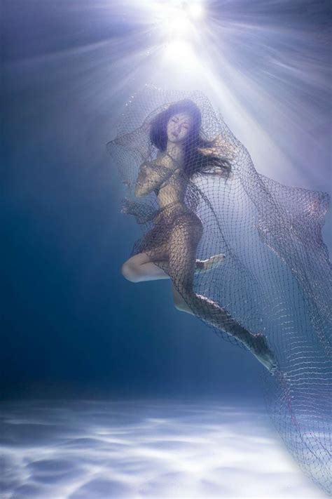 Life Underwater Award Winning Photos Illuminate World Beneath The Sea