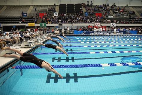 Emory Men Denison Women Win 2023 Diii Swimming And Diving