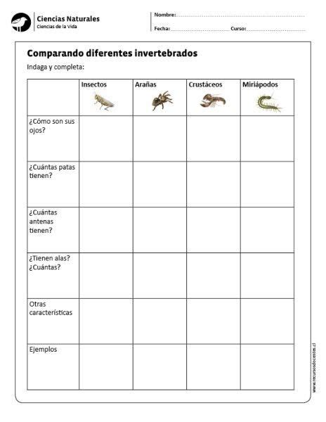 Pin de felipita en Asunción Hurtado Ciencias naturales Ciencias de