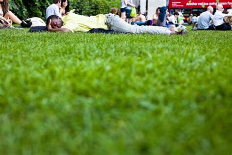 Black Man Sleeping On The Grass London Stock Photo Download Image Now