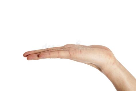 Human Hand Palm Facing Up Stock Photo Image Of White 29244476