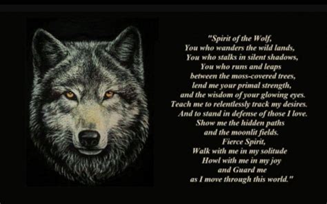 Pin By Lupus Sanguinem On I Wolf Lone Wolf Quotes Wolf Quotes