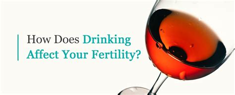 How Does Drinking Affect Your Fertility Western Fertility Institute