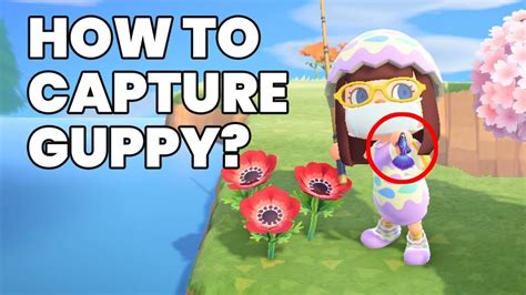 Then get some fish bait. How to catch GUPPY fish in Animal Crossing New Horizons ...