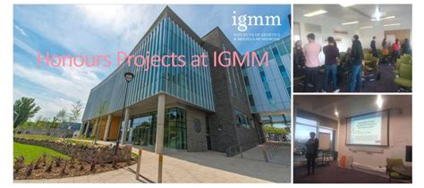 Honours Projects At Igmm The University Of Edinburgh