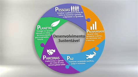 Como Essa Iniciativa Pode Mostrar Sua Relevância Como Projeto Sustentável