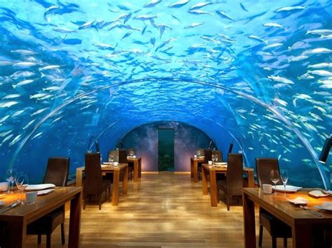 Doug Ross Journal The 5 Most Exotic Restaurant Venues In The World