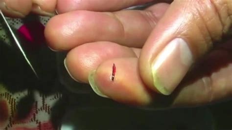 Man In India Says He Has Made The World S Smallest Pencil