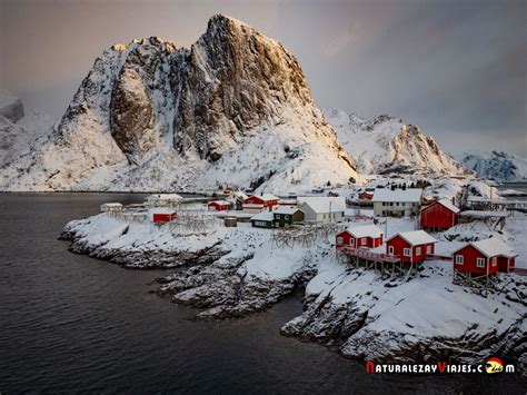 Los 7 Mejores Tours Y Excursiones En Las Islas Lofoten Noruega