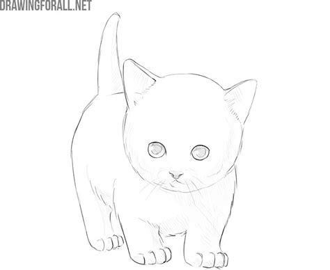 How To Draw A Kitty Cat