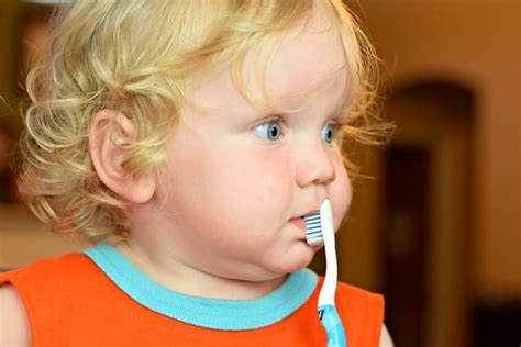 Toddler Teeth Brushing Tips