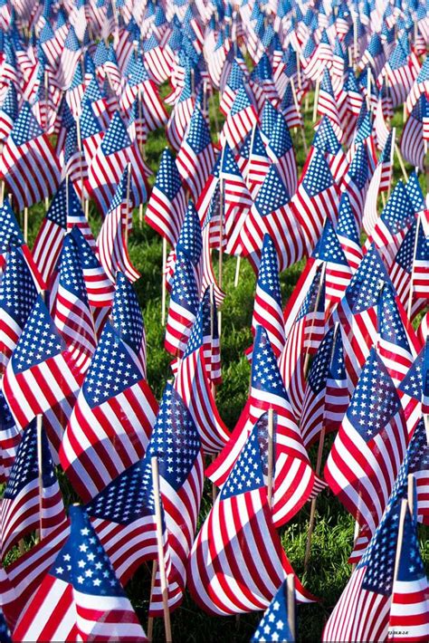 USA Flag Independence Day Patriotic Photo Studio Backdrop DLR-2 - Dbackdrop